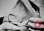 Image of General elections in North Vietnam Vietnam, 1960, second 35 stock footage video 65675044105