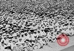 Image of Ho Chi Minh speaking in various venues Vietnam, 1960, second 53 stock footage video 65675044106