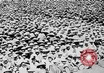 Image of Ho Chi Minh speaking in various venues Vietnam, 1960, second 54 stock footage video 65675044106