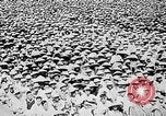 Image of Ho Chi Minh speaking in various venues Vietnam, 1960, second 57 stock footage video 65675044106