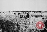 Image of Ho Chi Minh Vietnam, 1960, second 16 stock footage video 65675044107