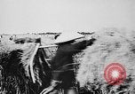 Image of Ho Chi Minh Vietnam, 1960, second 17 stock footage video 65675044107