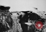 Image of Ho Chi Minh Vietnam, 1960, second 19 stock footage video 65675044107