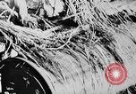 Image of Ho Chi Minh Vietnam, 1960, second 21 stock footage video 65675044107