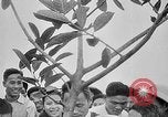Image of Vietnamese people Vietnam, 1960, second 55 stock footage video 65675044108