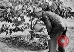 Image of Ho Chi Minh North Vietnam, 1960, second 34 stock footage video 65675044109