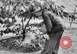 Image of Ho Chi Minh North Vietnam, 1960, second 35 stock footage video 65675044109