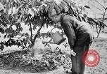 Image of Ho Chi Minh North Vietnam, 1960, second 36 stock footage video 65675044109