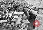 Image of Ho Chi Minh North Vietnam, 1960, second 37 stock footage video 65675044109