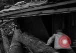Image of flood damage Seattle Washington USA, 1934, second 62 stock footage video 65675044110