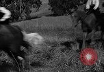 Image of girls train as calvary Culver City California USA, 1934, second 32 stock footage video 65675044117