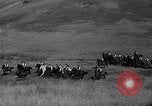 Image of girls train as calvary Culver City California USA, 1934, second 52 stock footage video 65675044117