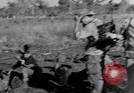 Image of French paratroops jump South East Asia, 1952, second 46 stock footage video 65675044126