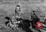 Image of French paratroops jump South East Asia, 1952, second 51 stock footage video 65675044126