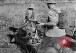 Image of French paratroops jump South East Asia, 1952, second 52 stock footage video 65675044126