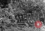 Immagine di Forze francesi Indocina, 1952, secondo 14 filmato di repertorio 65675044128