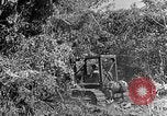 Immagine di Forze francesi Indocina, 1952, secondo 16 filmato di repertorio 65675044128
