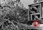 Immagine di Forze francesi Indocina, 1952, secondo 17 filmato di repertorio 65675044128