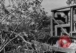 Immagine di Forze francesi Indocina, 1952, secondo 18 filmato di repertorio 65675044128