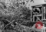 Immagine di Forze francesi Indocina, 1952, secondo 19 filmato di repertorio 65675044128
