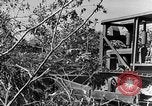 Immagine di Forze francesi Indocina, 1952, secondo 20 filmato di repertorio 65675044128