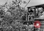Immagine di Forze francesi Indocina, 1952, secondo 22 filmato di repertorio 65675044128