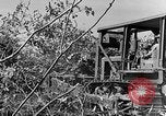 Immagine di Forze francesi Indocina, 1952, secondo 23 filmato di repertorio 65675044128