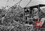 Immagine di Forze francesi Indocina, 1952, secondo 25 filmato di repertorio 65675044128