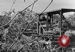 Immagine di Forze francesi Indocina, 1952, secondo 26 filmato di repertorio 65675044128