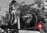 Immagine di Forze francesi Indocina, 1952, secondo 27 filmato di repertorio 65675044128