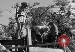 Immagine di Forze francesi Indocina, 1952, secondo 28 filmato di repertorio 65675044128