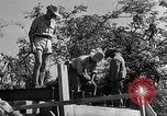 Immagine di Forze francesi Indocina, 1952, secondo 30 filmato di repertorio 65675044128