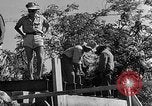 Immagine di Forze francesi Indocina, 1952, secondo 31 filmato di repertorio 65675044128