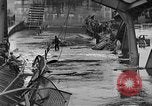 Image of Germans flee Soviets at River Elbe Germany, 1945, second 60 stock footage video 65675044141