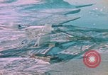 Standbild Strategic Defense Antenne Array United States USA, 1962, aus Sekunde 6 historischem Filmmaterial Videoclip 65675044161