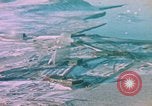 Standbild Strategic Defense Antenne Array United States USA, 1962, aus Sekunde 7 historischem Filmmaterial Videoclip 65675044161