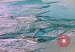 Standbild Strategic Defense Antenne Array United States USA, 1962, aus Sekunde 8 historischem Filmmaterial Videoclip 65675044161