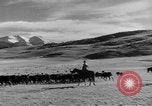 Image of The Unfinished Revolution United States USA, 1929, second 41 stock footage video 65675044174