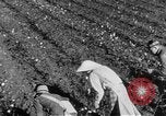 Image of The Unfinished Revolution United States USA, 1929, second 52 stock footage video 65675044174