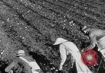 Image of The Unfinished Revolution United States USA, 1929, second 53 stock footage video 65675044174