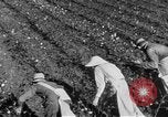 Image of The Unfinished Revolution United States USA, 1929, second 54 stock footage video 65675044174