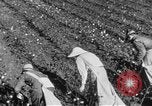 Image of The Unfinished Revolution United States USA, 1929, second 55 stock footage video 65675044174