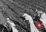 Image of The Unfinished Revolution United States USA, 1929, second 56 stock footage video 65675044174