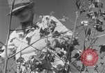 Image of The Unfinished Revolution United States USA, 1929, second 58 stock footage video 65675044174