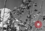 Image of The Unfinished Revolution United States USA, 1929, second 59 stock footage video 65675044174