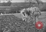 Standbild Große Depression Relief United States USA, 1933, aus Sekunde 5 historischem Filmmaterial Videoclip 65675044177