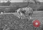 Standbild Große Depression Relief United States USA, 1933, aus Sekunde 7 historischem Filmmaterial Videoclip 65675044177
