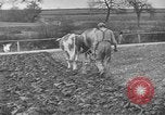 Standbild Große Depression Relief United States USA, 1933, aus Sekunde 8 historischem Filmmaterial Videoclip 65675044177