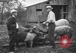 Standbild Große Depression Relief United States USA, 1933, aus Sekunde 57 historischem Filmmaterial Videoclip 65675044177