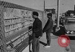 Image of Ernest Green RTP Inc training black youth New York City USA, 1969, second 33 stock footage video 65675044194